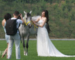 ȹ